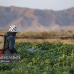 لزوم تامین بیش از ۱۴۰ همت اعتبار برای اجرای طرح های آب و خاک