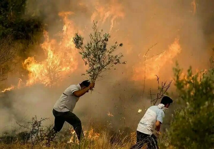 آتشافروز جنگلهای لرستان ۱۱.۱۳۰.۰۰۰.۰۰۰ ریال جریمه شد آتشافروز جنگلهای لرستان ۱۱.۱۳۰.۰۰۰.۰۰۰ ریال جریمه شد