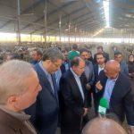 سفر وزیر کشاورزی به پیشوا/ظرفیت های شهرستان مورد بازدید قرار گرفت سفر وزیر کشاورزی به پیشوا/ظرفیت های شهرستان مورد بازدید قرار گرفت