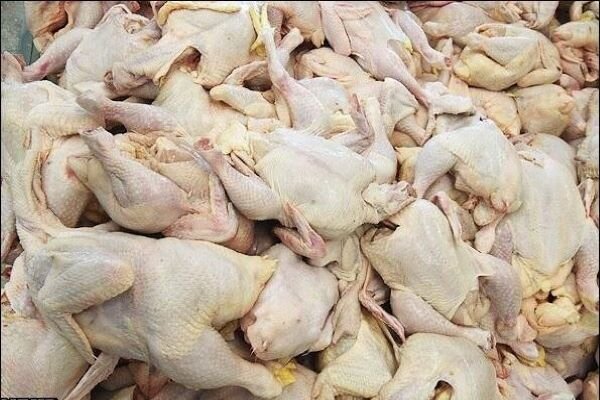 کاهش ۳ درصدی عرضه گوشت طیور در شهریور نسبت به مرداد کاهش ۳ درصدی عرضه گوشت طیور در شهریور نسبت به مرداد