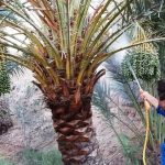 دیدار سهجانبه برای مدیریت آفات و کاهش خسارتهای کشاورزی دیدار سهجانبه برای مدیریت آفات و کاهش خسارتهای کشاورزی