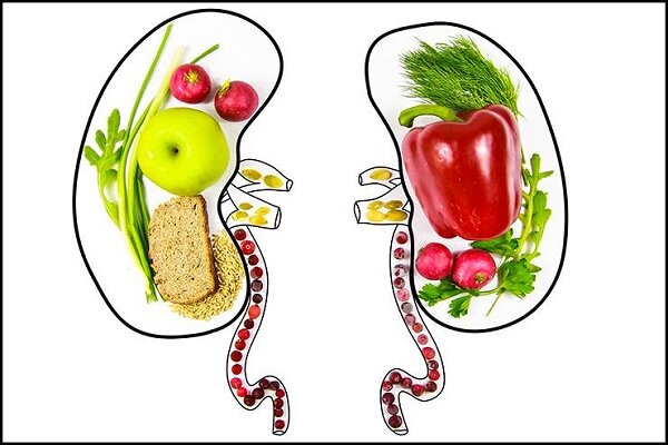 کلید مدیریت بهتر بیماریهای کلیوی کلید مدیریت بهتر بیماریهای کلیوی