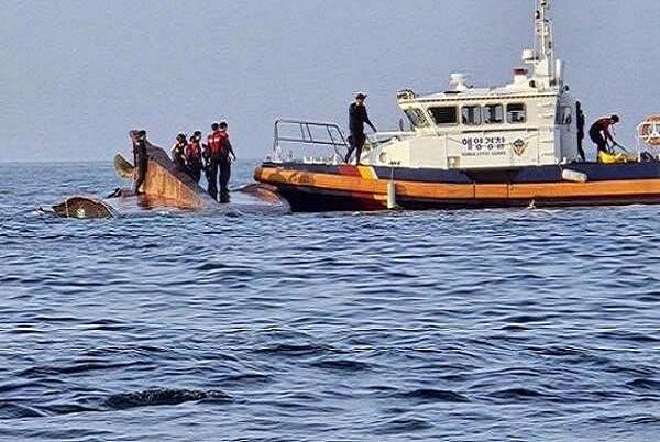 ۶ نفر در قایق ماهیگیری در وضعیت ایست قلبی در کره جنوبی پیدا شدند ۶ نفر در قایق ماهیگیری در وضعیت ایست قلبی در کره جنوبی پیدا شدند