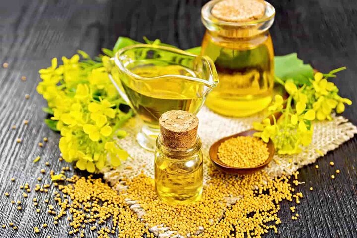 ماجرای صدور مجوز سلامتبخش روغن تنها با یک مطالعه ماجرای صدور مجوز سلامتبخش روغن تنها با یک مطالعه
