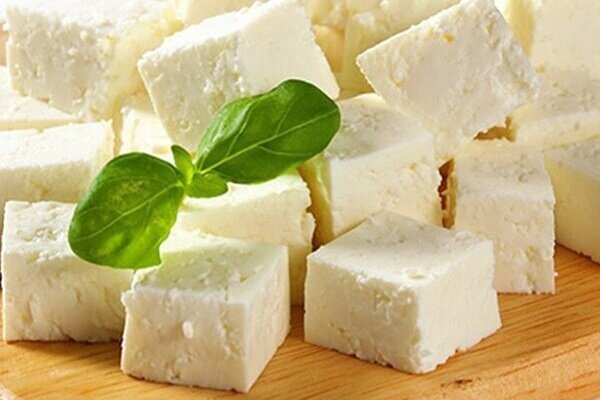 چگونه پنیر سالم و با کیفیت را تشخیص دهیم چگونه پنیر سالم و با کیفیت را تشخیص دهیم