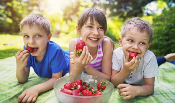 چگونه کودکان را به مصرف میوه تشویق کنیم؟