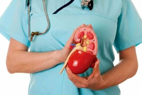 راهکاری طبیعی و مؤثر برای دفع سنگ کلیه راهکاری طبیعی و مؤثر برای دفع سنگ کلیه