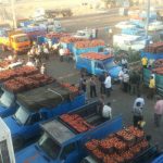 صدور مجوز برای پایانههای صادراتی صنایع کشاورزی صدور مجوز برای پایانههای صادراتی صنایع کشاورزی