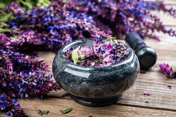 گیاهی شگفت انگیز برای سلامت، زیبایی و تناسب اندام گیاهی شگفت انگیز برای سلامت، زیبایی و تناسب اندام