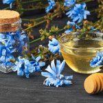 گیاهی فوقالعاده برای پاکسازی کبد گیاهی فوقالعاده برای پاکسازی کبد