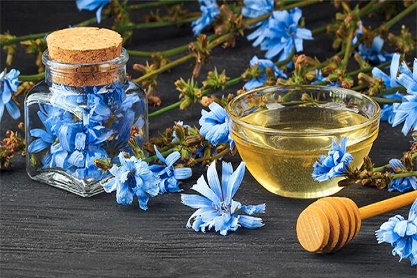 گیاهی فوقالعاده برای پاکسازی کبد گیاهی فوقالعاده برای پاکسازی کبد