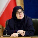 مهاجرانی: دولت بدون اطلاع رسانی بنزین را گران نمیکند مهاجرانی: دولت بدون اطلاع رسانی بنزین را گران نمیکند
