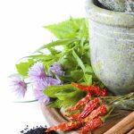 برگزاری جشنواره غذای «ایران جوان با طب ایرانی» در وزارت بهداشت برگزاری جشنواره غذای «ایران جوان با طب ایرانی» در وزارت بهداشت