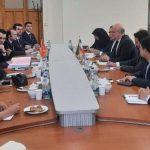 برگزاری نشست مدیران کل وزارت خارجههای ایران و ترکیه برگزاری نشست مدیران کل وزارت خارجههای ایران و ترکیه
