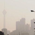 آلودگی هوا آغاز تمرینات استقلال را به تاخیر انداخت آلودگی هوا آغاز تمرینات استقلال را به تاخیر انداخت