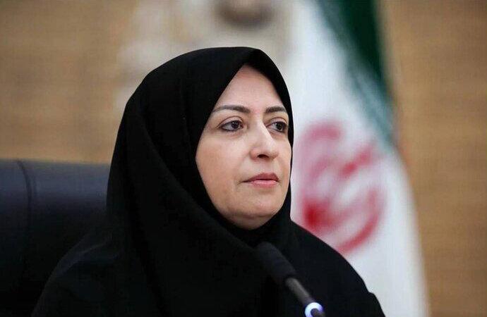 شینا انصاری: همه دستگاهها در موضوع گردو غبار پای کار باشند شینا انصاری: همه دستگاهها در موضوع گردو غبار پای کار باشند
