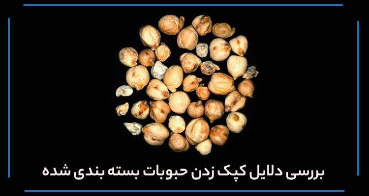 علت اصلی کپک زدگی یا نفوذ حشرات به بستههای حبوبات چیست؟ علت اصلی کپک زدگی یا نفوذ حشرات به بستههای حبوبات چیست؟