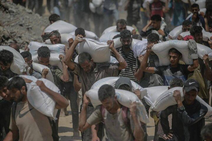 شهادت ۸۲ فلسطینی و زخمی شدن دهها تن از بامداد جمعه تاکنون شهادت ۸۲ فلسطینی و زخمی شدن دهها تن از بامداد جمعه تاکنون