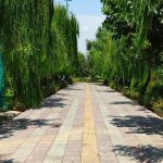 آغاز اجرای طرح پاکسازی پارکها، بوستانها و تفرجگاهها از فردا آغاز اجرای طرح پاکسازی پارکها، بوستانها و تفرجگاهها از فردا
