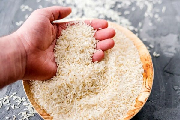 بازگشت ۴۰۰ تن برنج آلوده به پاکستان بازگشت ۴۰۰ تن برنج آلوده به پاکستان