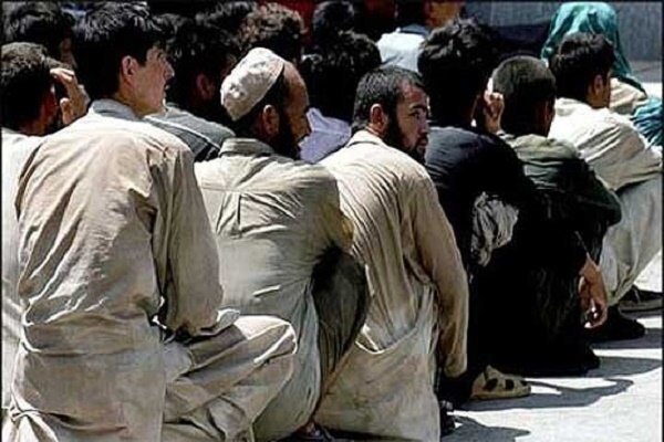 فرمانده انتظامی هیرمند: ۲۰۳ تبعه بیگانه غیرمجاز جمع آوری شدند فرمانده انتظامی هیرمند: ۲۰۳ تبعه بیگانه غیرمجاز جمع آوری شدند