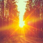 دستاوردی که میتواند معادلات ذخیرهسازی و حمل انرژی خورشیدی را دگرگون کند دستاوردی که میتواند معادلات ذخیرهسازی و حمل انرژی خورشیدی را دگرگون کند