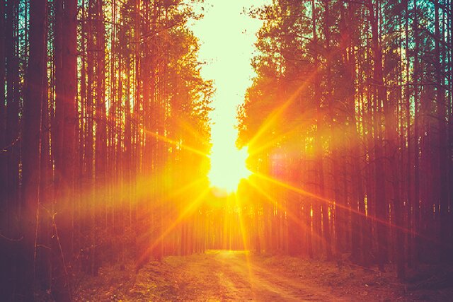 دستاوردی که میتواند معادلات ذخیرهسازی و حمل انرژی خورشیدی را دگرگون کند دستاوردی که میتواند معادلات ذخیرهسازی و حمل انرژی خورشیدی را دگرگون کند