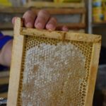 عسل طبیعی رنگ ثابتی ندارد عسل طبیعی رنگ ثابتی ندارد