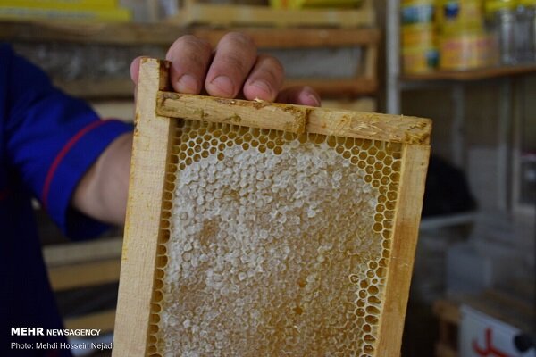 عسل طبیعی رنگ ثابتی ندارد عسل طبیعی رنگ ثابتی ندارد