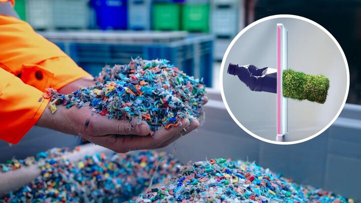 علف و جلبک، قطعات خودرو می‌شوند