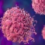 احتمال ۲۰ درصدی ابتلا به سرطان برای هر فرد / نیاز گسترده مبتلایان به فرآوردههای خونی احتمال ۲۰ درصدی ابتلا به سرطان برای هر فرد / نیاز گسترده مبتلایان به فرآوردههای خونی