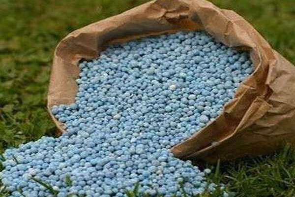 بیش از ۳۰ هزار تن کودهای کشاورزی یارانه‌دار توزیع شد