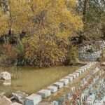 تهران در آستانه تحول سبز؛ بهره‌برداری از ۳ بوستان جدید شهری