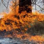 علت حریق در محدوده جنوب غرب استان تهران چه بود؟