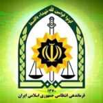 قاتل «ملیکا» دستگیر شد؛ متهم راننده تاکسی اینترنتی نبود