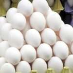 لغو ممنوعیت صادرات تخم‌مرغ با کاهش قیمت/ آزادسازی تدریجی تجارت در دستور کار