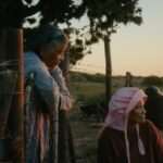 معرفی برندگان جشنواره روتردام ۲۰۲۶