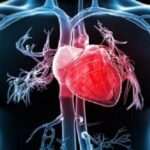 هر ورزشی برای هر قلبی مجاز نیست