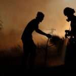 هشدار افزایش دما و وزش باد در شمال؛ احتمال وقوع آتش‌سوزی در جنگل‌ها