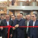 وزیر کار: تزریق تسهیلات بانکی فراتر از نیاز واحدهای تولیدی می‌تواند مشکلاتی ایجاد کند