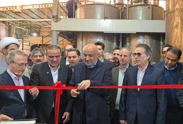 وزیر کار: تزریق تسهیلات بانکی فراتر از نیاز واحدهای تولیدی می‌تواند مشکلاتی ایجاد کند