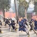 ویدئوی تمرین کونگ‌فوی ربات‌های انسان‌نما با راهبان معبد شائولین