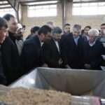 پرتودهی سالانه ۱۰ هزار تن محصولات کشاورزی در مرکز پرتوفرآیند شیروان پرتودهی سالانه ۱۰ هزار تن محصولات کشاورزی در مرکز پرتوفرآیند شیروان