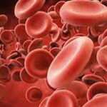 «پلاکت»؛ فرآورده‌ای با عمر کم و فواید زیاد