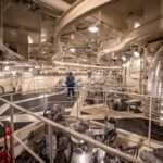 ژاپن بزرگترین نیروگاه اتمی خود را دوباره در مدار قرار داد